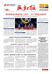 《pp模拟器电子游戏报》第217期