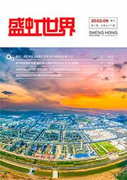 《pp模拟器电子游戏世界》第56期